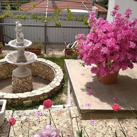Apartament Casa De Elgo Bałczik Zewnętrze zdjęcie